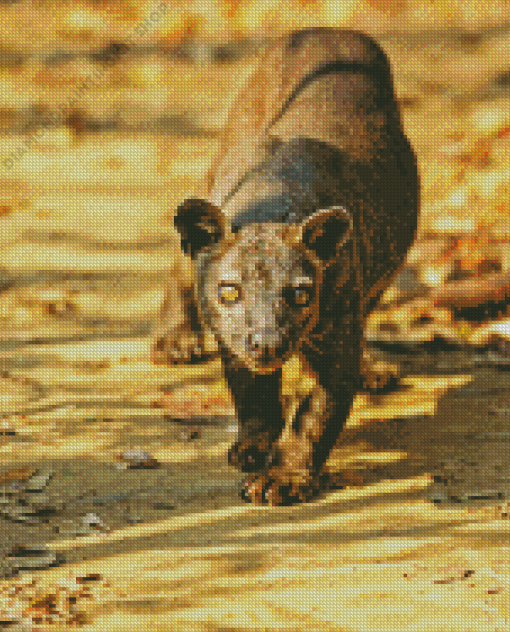 Fossa Animal Diamond Painting