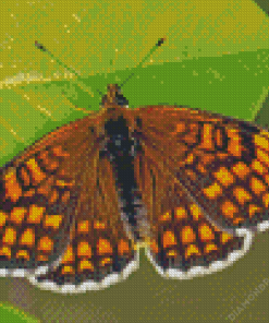 Fritillary Butterfly Diamond Painting