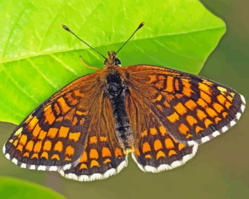 Fritillary Butterfly Diamond Painting