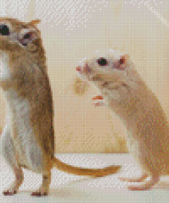 Gerbil Diamond Painting