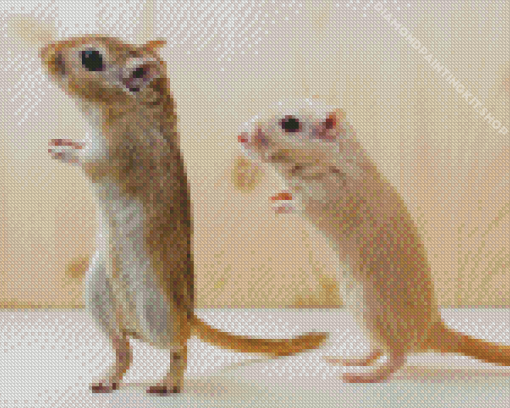 Gerbil Diamond Painting