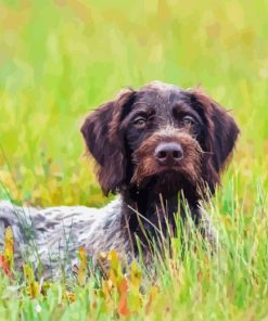 German Wirehaired Diamond Painting