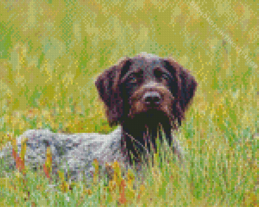 German Wirehaired Diamond Painting