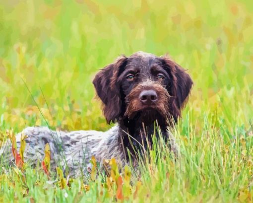 German Wirehaired Diamond Painting