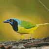 Green Jay Diamond Painting