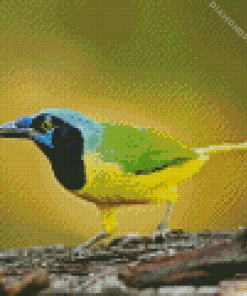 Green Jay Diamond Painting