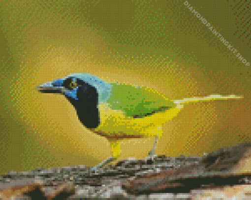 Green Jay Diamond Painting