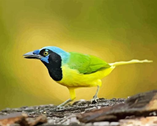 Green Jay Diamond Painting