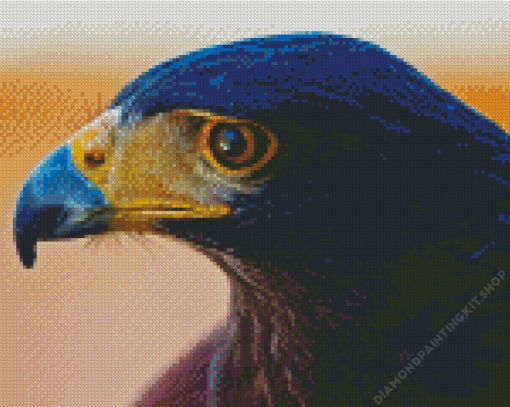 Harris Hawk Diamond Painting