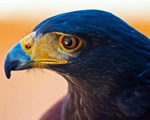 Harris Hawk Diamond Painting