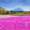 Hitsujiyama Park Diamond Painting