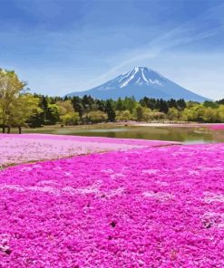 Hitsujiyama Park Diamond Painting