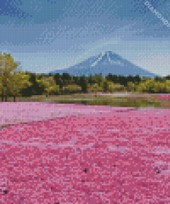 Hitsujiyama Park Diamond Painting