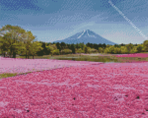 Hitsujiyama Park Diamond Painting