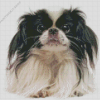 Japanese Chin Diamond Painting