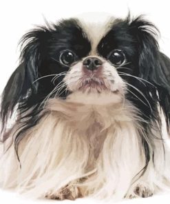 Japanese Chin Diamond Painting