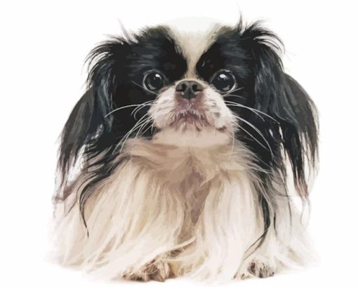 Japanese Chin Diamond Painting