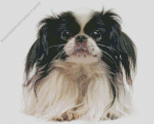 Japanese Chin Diamond Painting