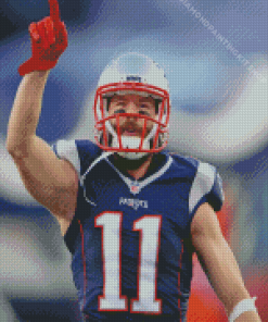 Julian Edelman Diamond Painting