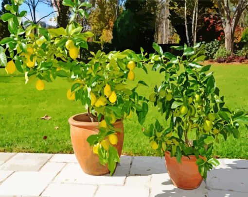 Lemons in Pots Diamond Painting