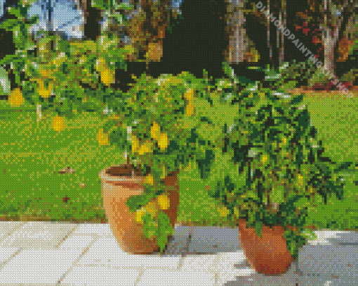 Lemons in Pots Diamond Painting