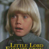 Little Lord Fauntleroy Diamond Painting