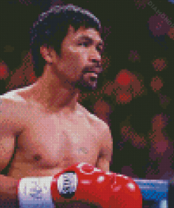 Manny Pacquiao Diamond Painting