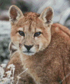 Mother Puma Diamond Painting