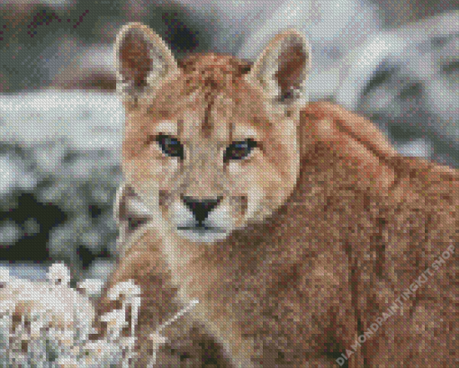 Mother Puma Diamond Painting