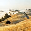 Mount Tamalpais Diamond Painting