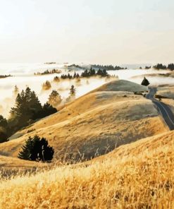 Mount Tamalpais Diamond Painting