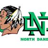 North Dakota Fighting Hawks Diamond Painting