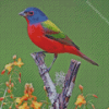 Painted Bunting Diamond Painting