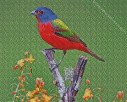 Painted Bunting Diamond Painting