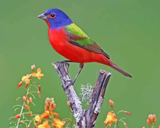 Painted Bunting Diamond Painting