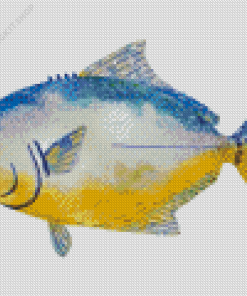 Pompano Fish Art Diamond Painting