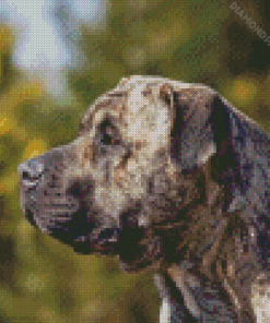 Presa Canario Dog Diamond Painting