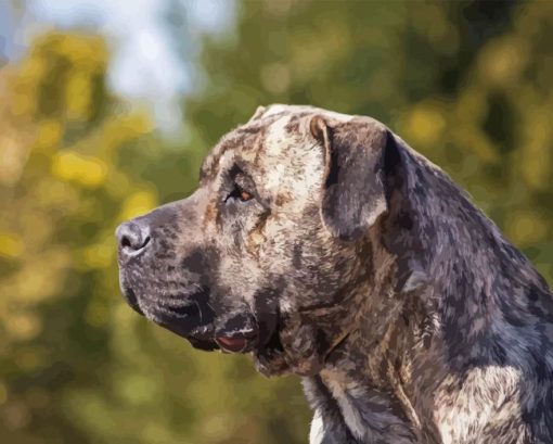 Presa Canario Dog Diamond Painting