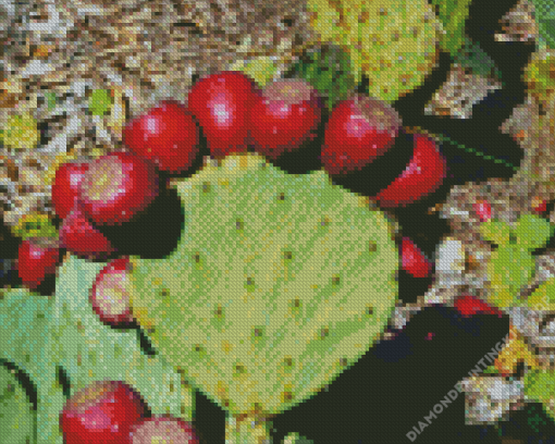 Prickly Pears Diamond Painting