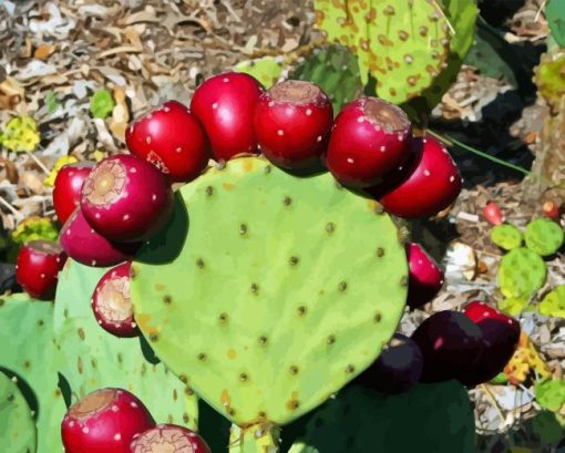 Prickly Pears Diamond Painting