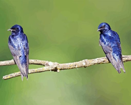 Purple Martin Diamond Painting