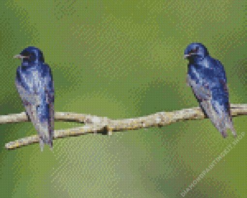 Purple Martin Diamond Painting