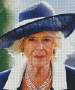 Queen Camilla Diamond Painting