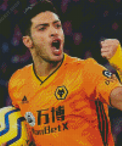 Raul Jimenez Diamond Painting