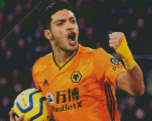 Raul Jimenez Diamond Painting