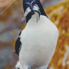 Razorbill Diamond Painting