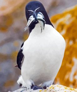 Razorbill Diamond Painting