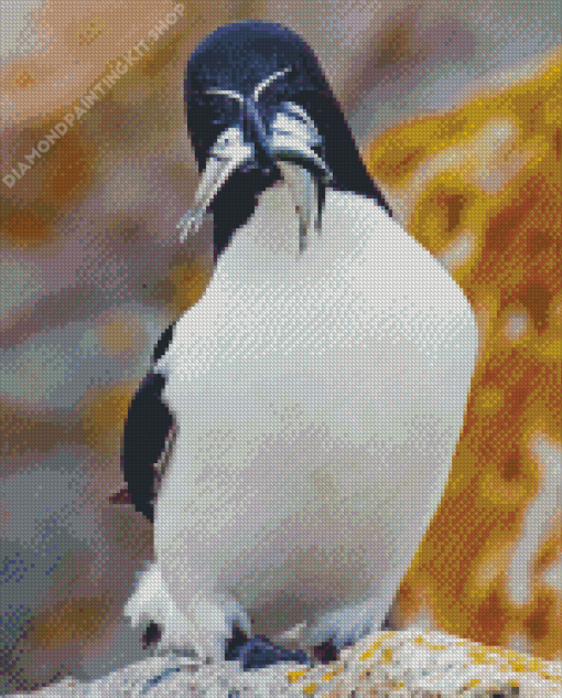 Razorbill Diamond Painting