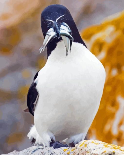 Razorbill Diamond Painting