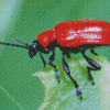 Scarlet Lily Beetle Diamond Painting